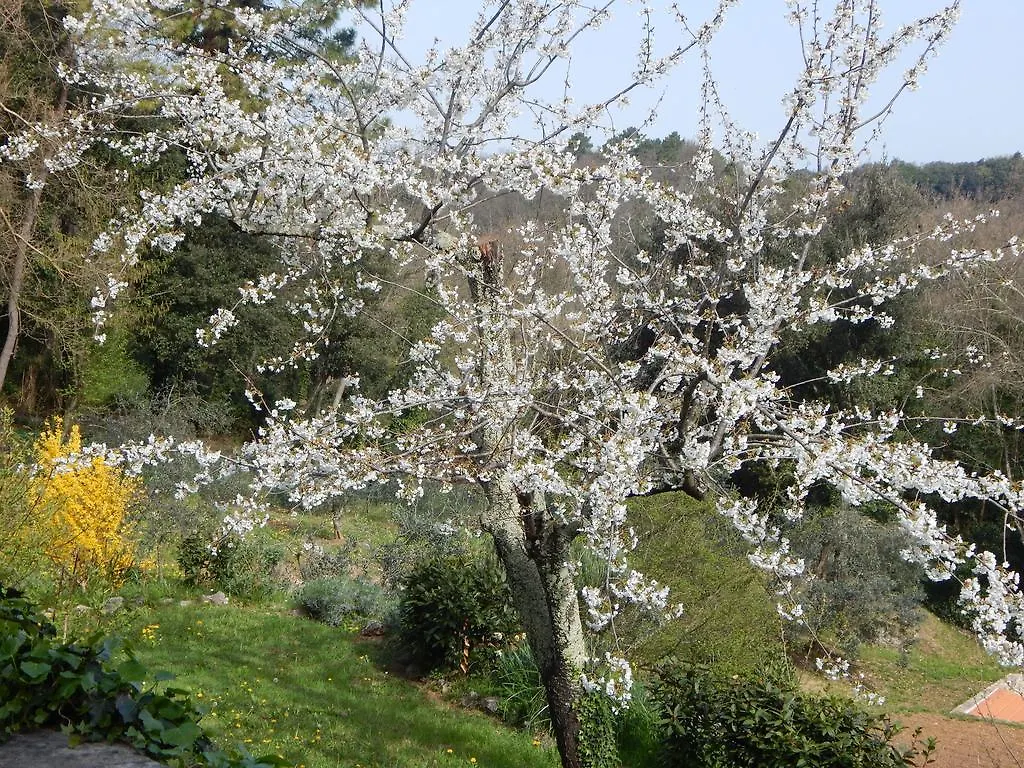 I Lecci Bed & Breakfast Lerici