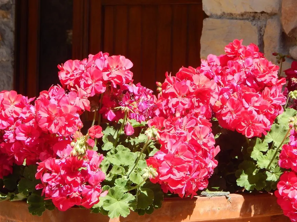 I Lecci Bed & Breakfast Lerici 0*,