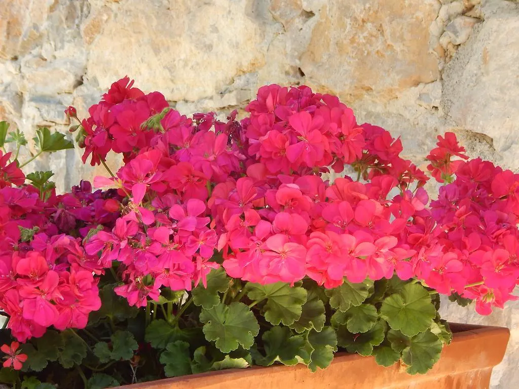 I Lecci Bed & Breakfast Lerici 0*,  İtalya